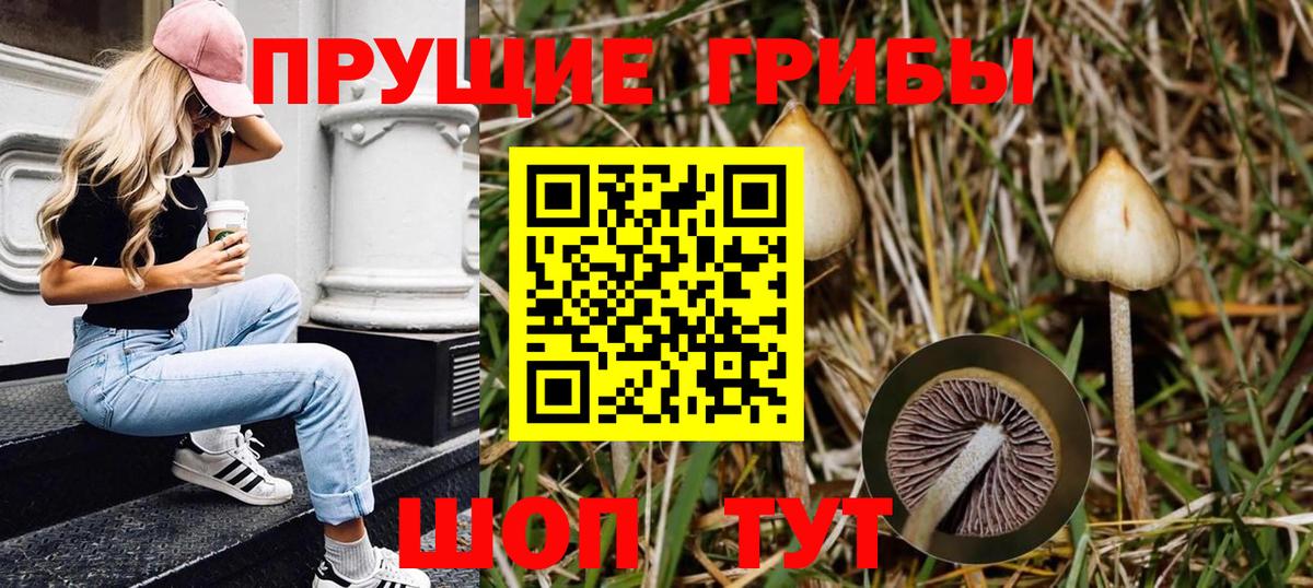 Псилоцибиновые грибы прущие грибы Верхний Уфалей