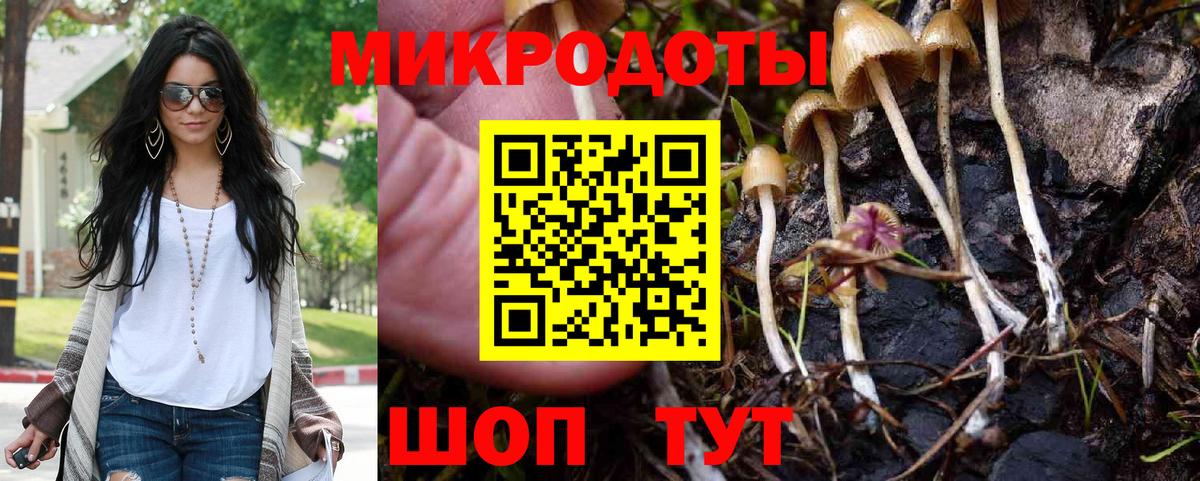 Псилоцибиновые грибы прущие грибы  Вход с VPN  Верхний Уфалей 